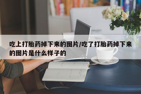 流产药网上专门卖店联系微信吃上打胎药掉下来的图片/吃了打胎药掉下来的图片是什么样子的